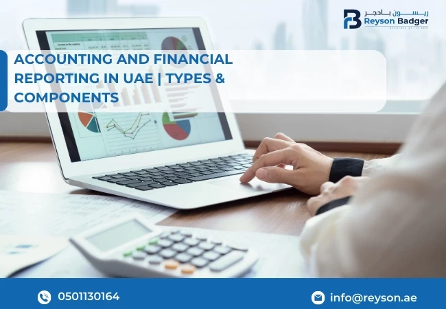 accounting and financial reporting in UAE