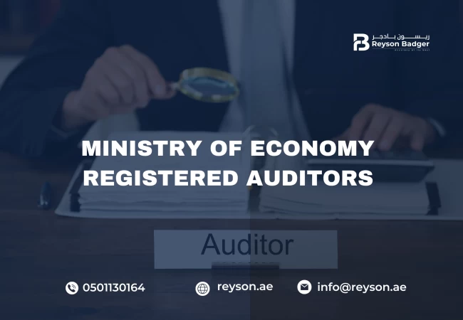 Ministry of Economy Registered Auditors