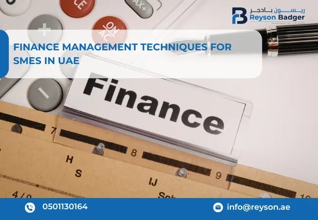 Finance Management Techniques for SMEs in UAE