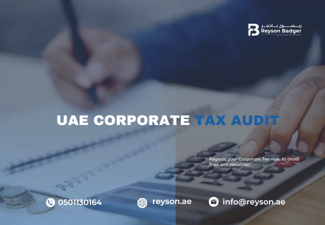 Corporate Tax Audit