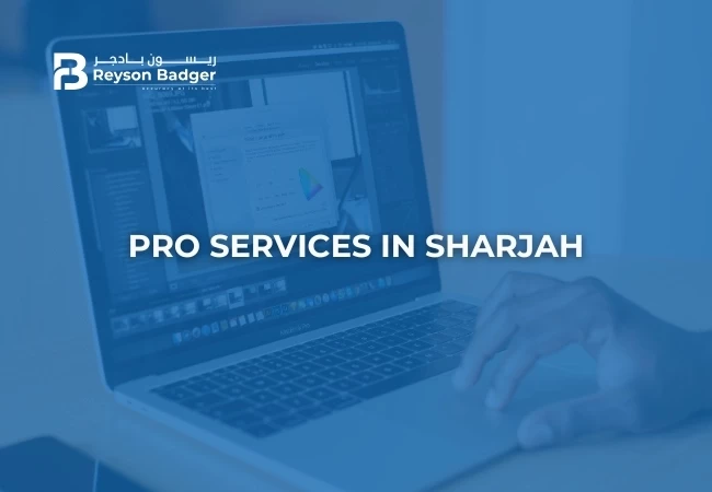 pro services in sharjah