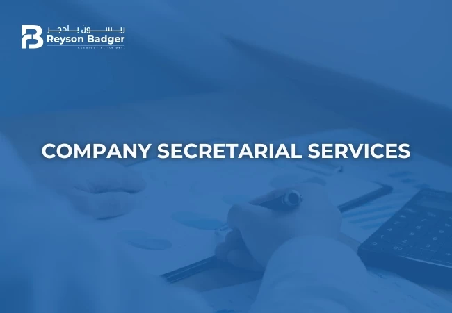 Company Secretarial Services